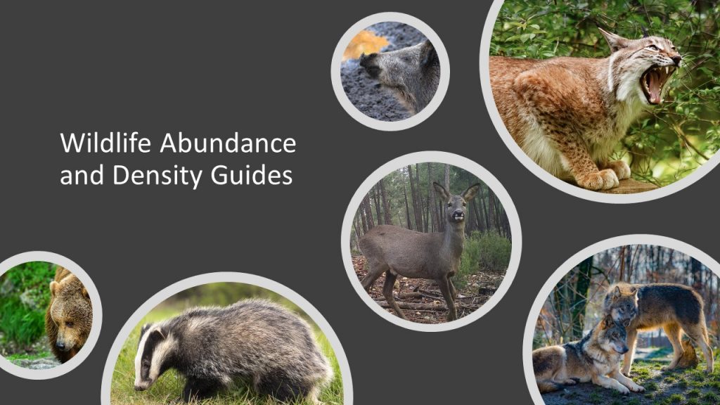 Guides for carnivores, wild ruminants and wild boar density and abundance  estimation – Enetwild